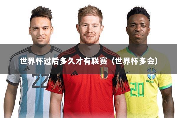 世界杯过后多久才有联赛(世界杯多会)