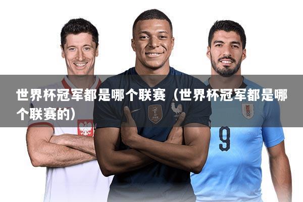 世界杯冠军都是哪个联赛(世界杯冠军都是哪个联赛的)