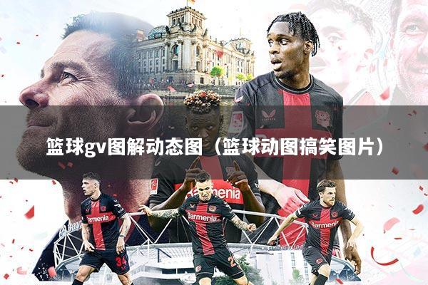 篮球gv图解动态图(篮球动图搞笑图片)