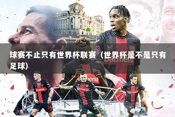 球赛不止只有世界杯联赛(世界杯是不是只有足球)