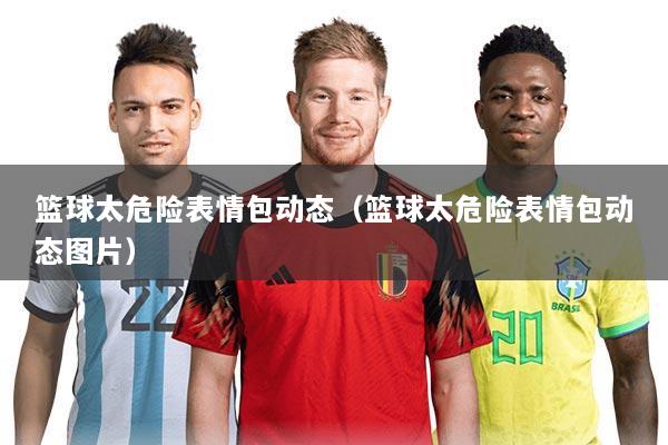 篮球太危险表情包动态(篮球太危险表情包动态图片)