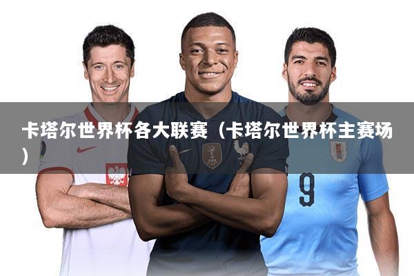 卡塔尔世界杯各大联赛(卡塔尔世界杯主赛场)