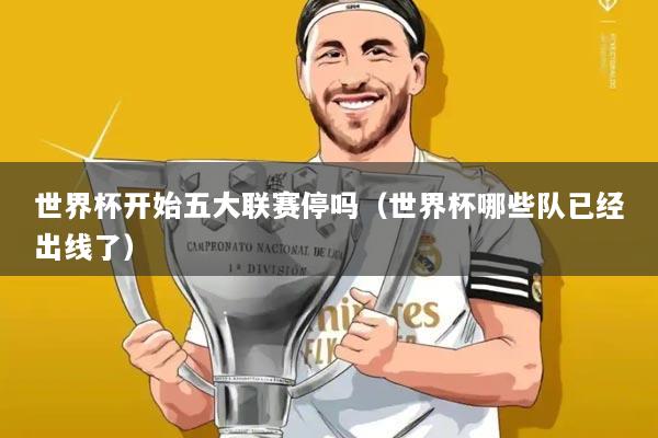 世界杯开始五大联赛停吗(世界杯哪些队已经出线了)