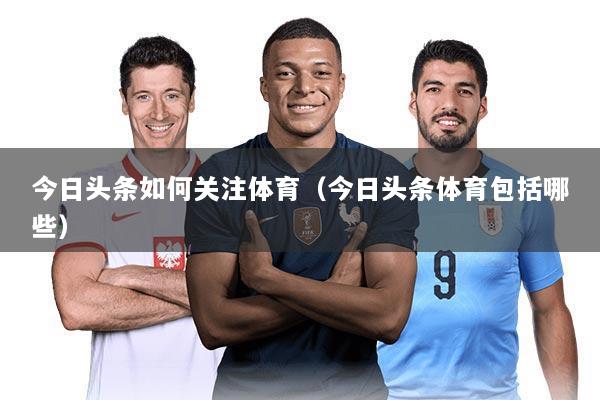 今日头条如何关注体育(今日头条体育包括哪些)