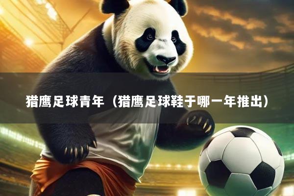 猎鹰足球青年(猎鹰足球鞋于哪一年推出)