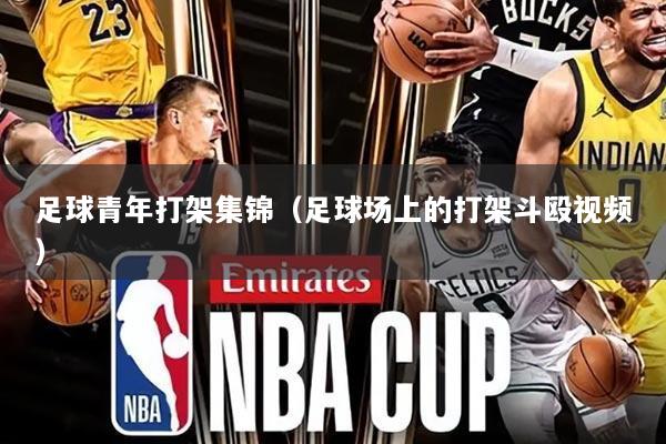 足球青年打架集锦（足球场上的打架斗殴视频）