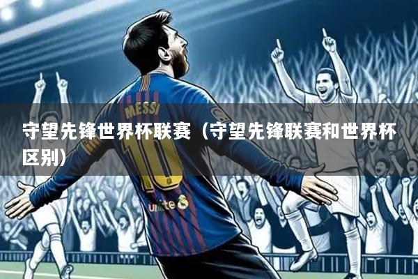 守望先锋世界杯联赛（守望先锋联赛和世界杯区别）